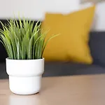 Apartamento Estudio Erbania