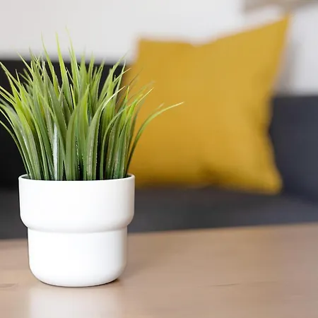 Apartmán Estudio Erbania