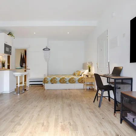 Apartment Estudio Erbania